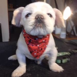 Meet your Posher, Gwen